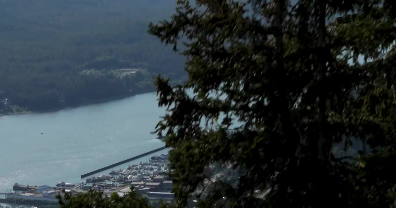 Cabina della funivia Goldbelt di Juneau che scende alla stazione a valle, dal Monte Roberts. Splendida vista sul canale Gastineau e sulla città di Juneau.