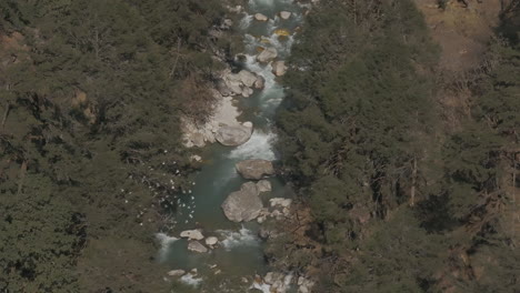 vista aérea de pájaros volando en grupo sobre un río que fluye pacíficamente en el parque nacional de langtang, nepal. el río serpentea a través del vasto paisaje forestal, destacando la serenidad y la belleza natural de nepal.