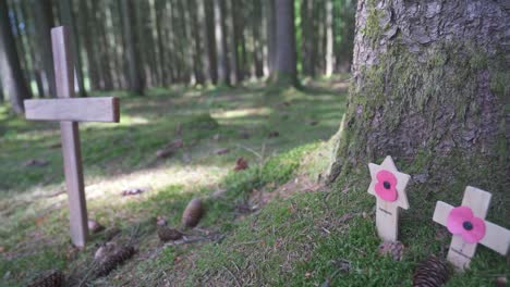 Grave-stones-in-forest-near-Foy-Belgium,-from-World-war-battlegrounds,-Battle-of-the-bulge