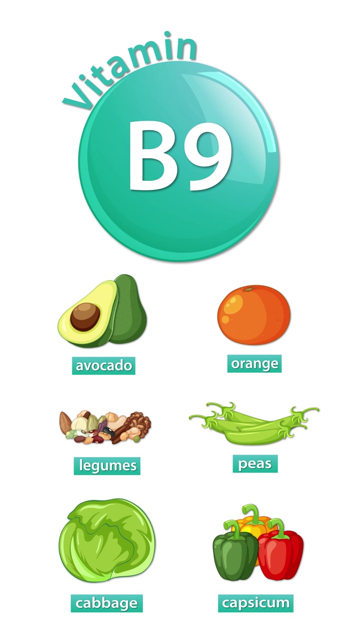 Appare l'icona della Vitamina B9, seguita da illustrazioni di alimenti etichettati in una sequenza di animazione verticale e pulita.
