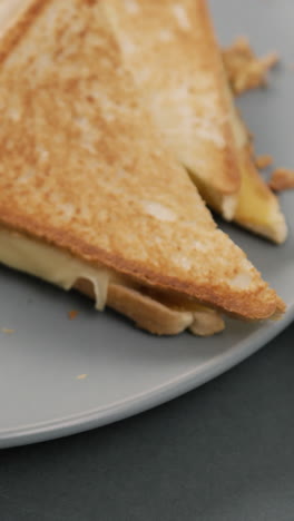 video de sándwich de pan blanco de queso recién preparado con tomates en el plato
