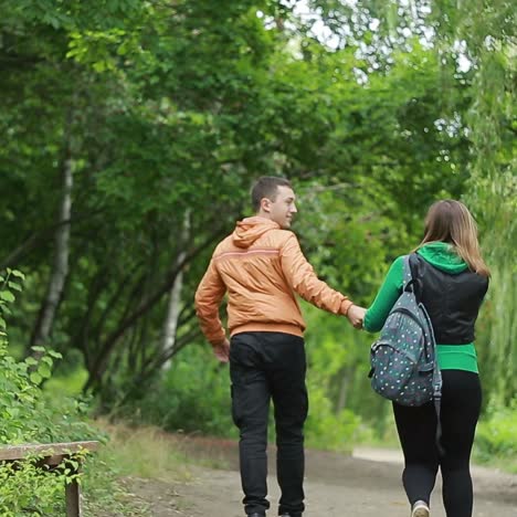 pareja caminando de la mano en el parque
