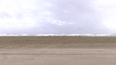 Serie-Von-Aufnahmen-Windiger-Winterurlaub-In-Den-Niederlanden-Auf-Der-Holländischen-Strandinsel-Terschelling