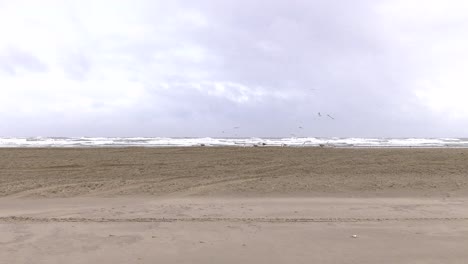 serie of shots windy winter holliday in the netherlands on the dutch beach island terschelling