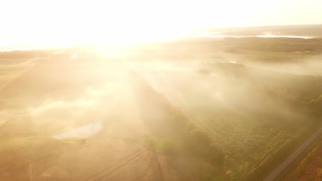 Early-morning-mist,-grasslands,-rainforest-and-pine-trees-just-after-sunrise