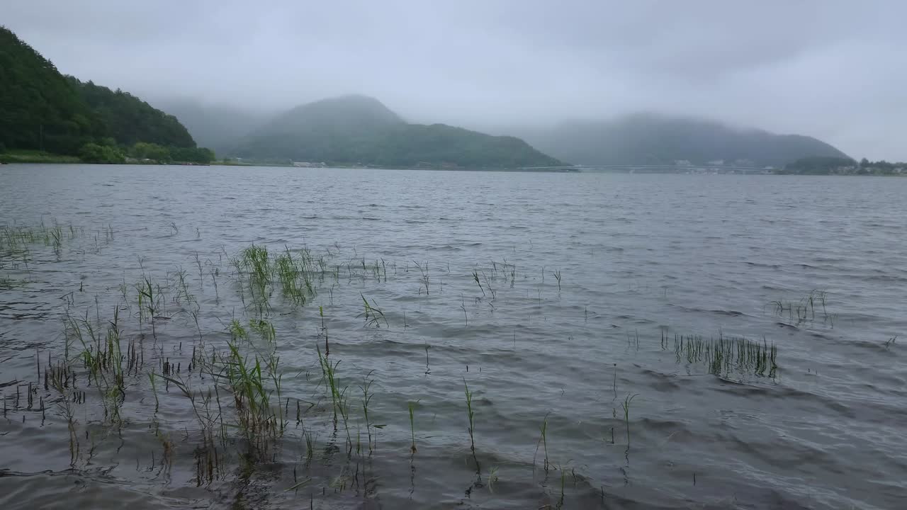 일본 고지대 후지산 주변의 안개