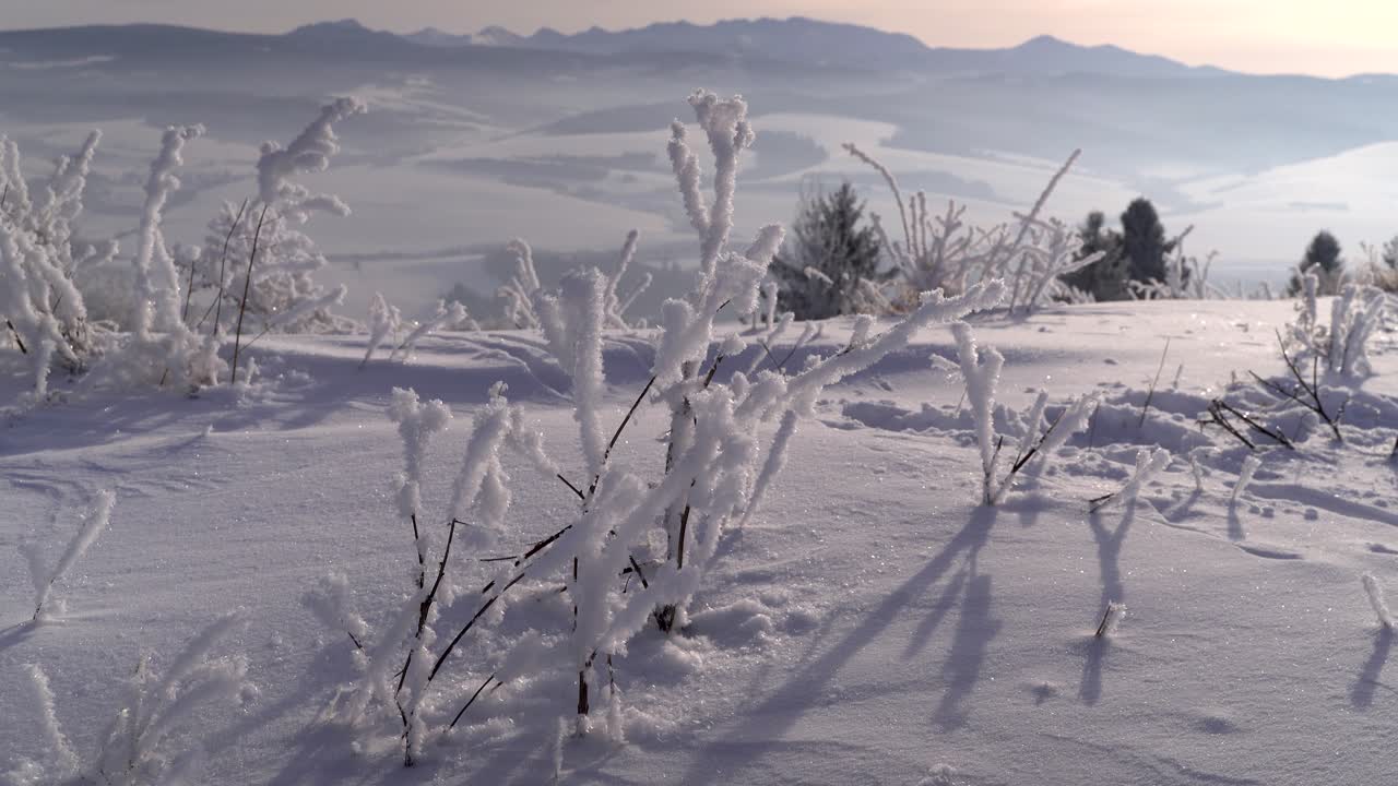 vista bloqueada de ramitas congeladas cubiertas de nieve contra el paisaje de montaña
