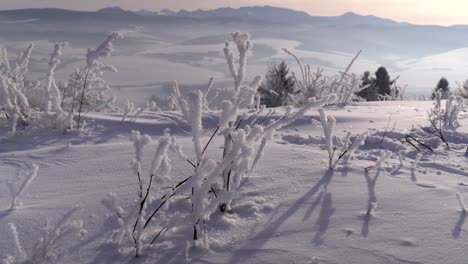 Locked-off-view-of-snow-covered-frozen-twigs-against-mountain-landscape