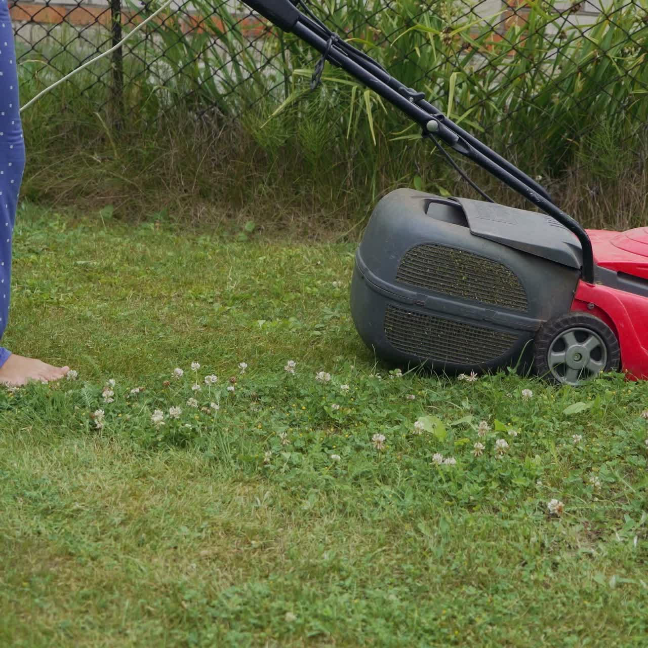 Cutting fresh green grass with lawn mower. Mowing grass in the garden. Outdoor seasonal household works