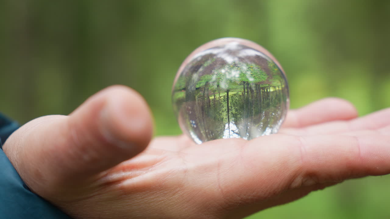 Hand holding lens ball reflecting forest