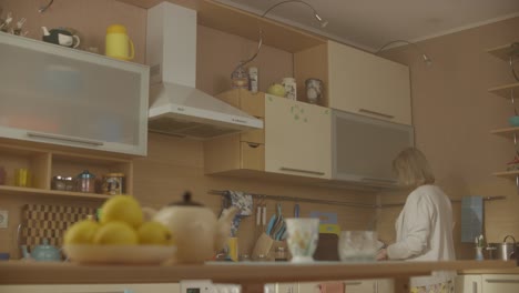 woman cooking in a modern kitchen