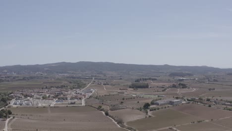 -fields-with-vineyards,-olive-trees