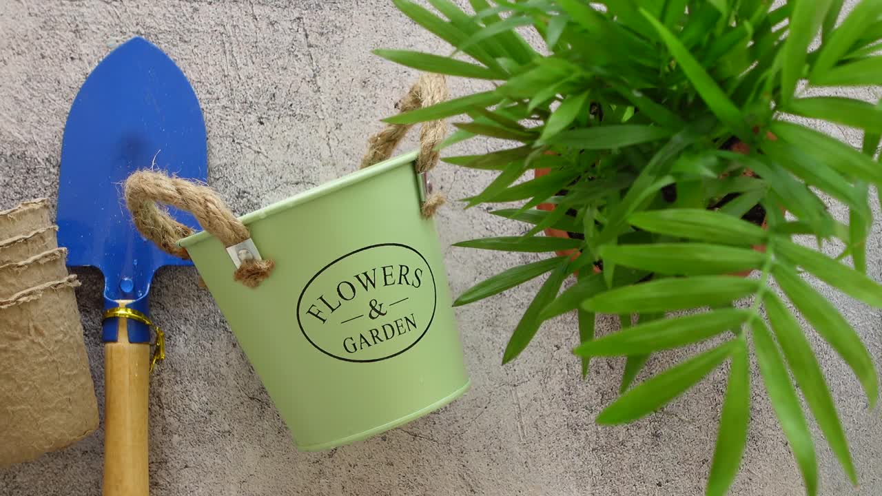 herramientas de jardinería, plantas y cubos