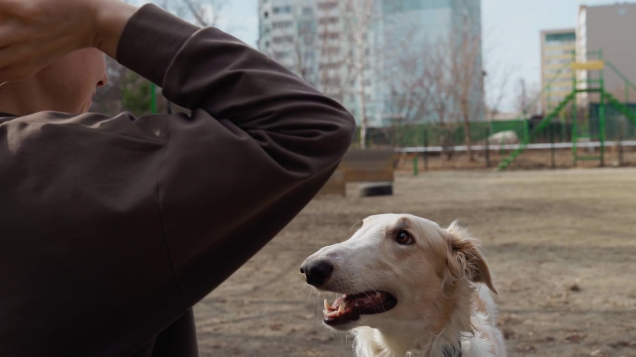 Woman interacts with white dog in outdoor park throwing and watching pet play. scene features urban playground equipment like green structures and bare trees under daylight capturing casual