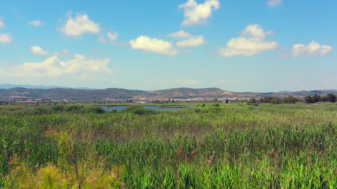 Blue Swamp Amidst The Green Meadow Within El Prat de Cabanes Natural Park In Castellon, Spain. wide shot