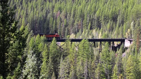 western montana a train rides on a trestle in above the tree line