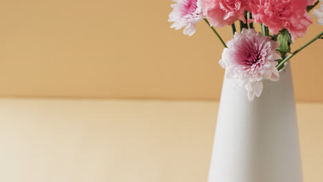 video of pink flowers in white vase with copy space on yellow background