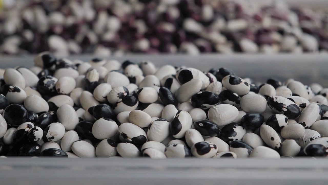 Close-up of Black and White Beans in a Plastic Container
