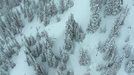 Profundo-Polvo-Nevando-Cinematográfico-Aéreo-Colorado-Loveland-Estación-De-Esquí-Túnel-Eisenhower-Coon-Hill-Travesía-I70-Pesado-Invierno-Primavera-Nieve-División-Continental-Montañas-Rocosas-Cubrir-Pinos-Ojo-De-Pájaro