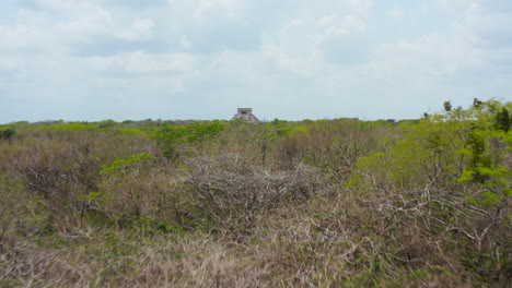 Forwards-reveal-of-Kukulcan-pyramid-among-trees-of-vast-rain-forest.-Historical-monuments-of-pre-Columbian-era,-Chichen-Itza,-Mexico.