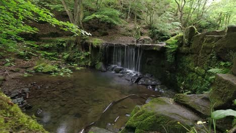Woodland-waterfall-time-lapse-flowing-into-small-clean-forest-creek-in-lush-fern-wilderness