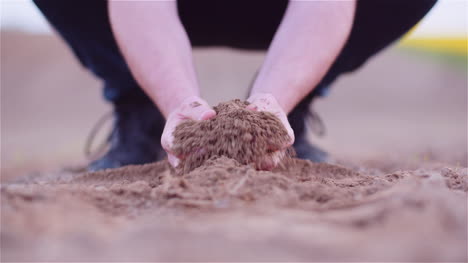 Farmer-Examining-Organic-Soil-In-Hands-Farmer-Touching-Dirt-In-Agriculture-Field-4