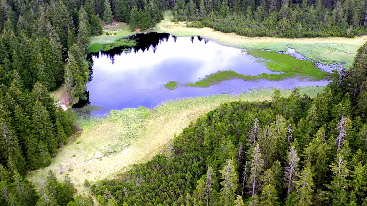 Aerial shot of Black Lake surrounded by pine trees forest in Pohorje mountains, Slovenia