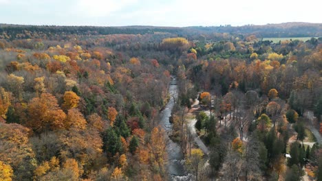 aerial view of a river winding through a forest on a sunny autumn day