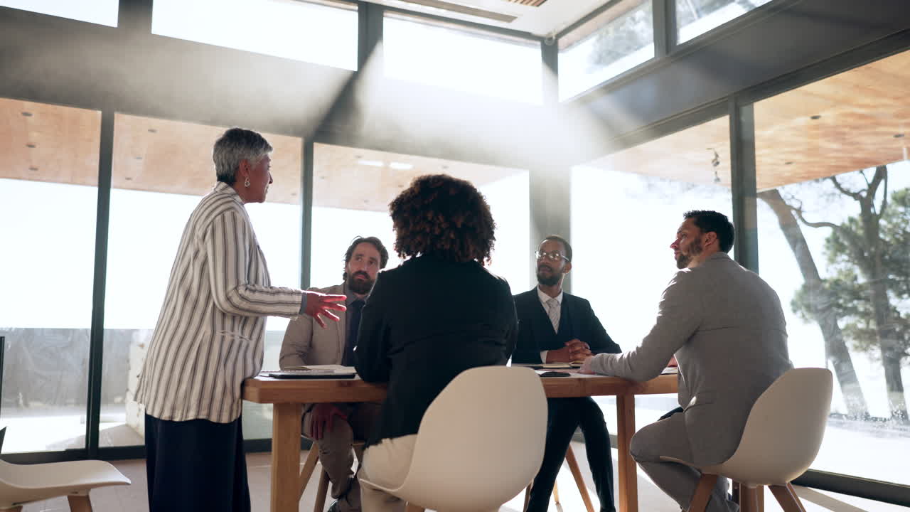 pitch, reunión y mujer ceo con gente de negocios