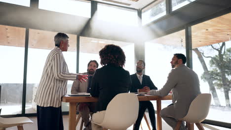 pitch, meeting and woman ceo with business people