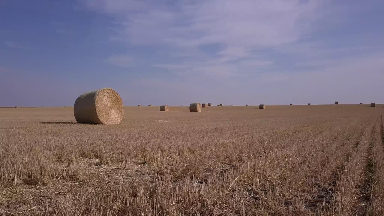 Very low arcing aerial of gold round hay bales in flat prairie field