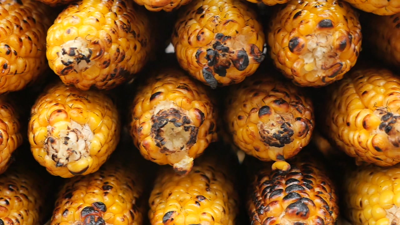 Close-Up View of Stacked Grilled Corn on the Cob