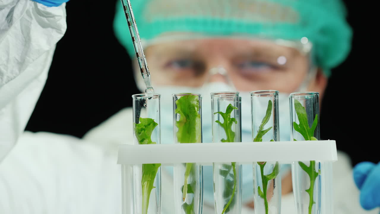 científico realiza investigaciones con plantas en el laboratorio 2