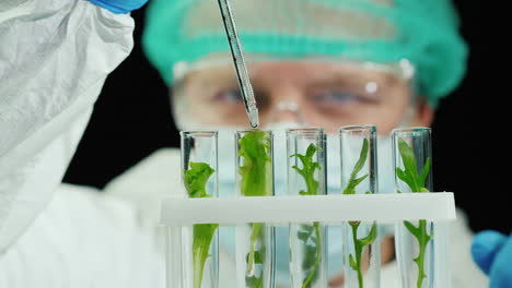 scientist conducts research with plants in lab 2