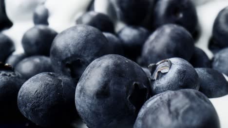 macro video of blueberries covered with yoghurt