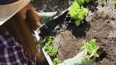 Feliz-Mujer-Caucásica-Con-Sombrero,-Jardinería-Y-Sonriendo-En-El-Jardín