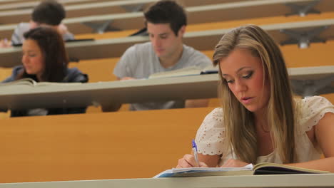 students sitting while learning