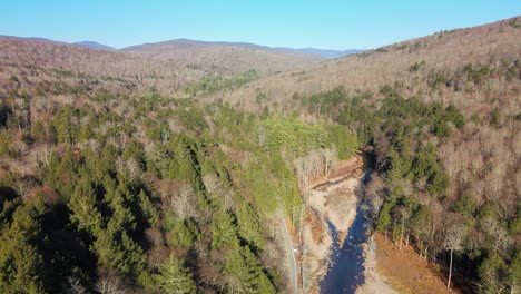 above-a-river-valley-with-a-mixture-of-pine-trees-and-bare-deciduous-trees-with-mountains-in-the-background-on-a-sunny-day-in-late-fall