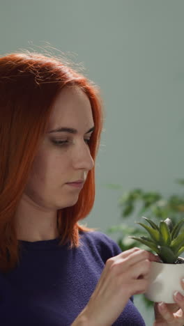 redhead housewife takes decorative aloe plant in pot from white shelf in living room. young woman checks soil and leaves of pot-plant closeup