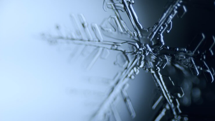 Snowflake ice crystal stellar dendrite under microscope