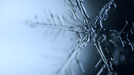 dendrita estelar de cristal de hielo de copo de nieve bajo el microscopio