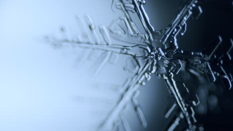 snowflake ice crystal stellar dendrite under microscope