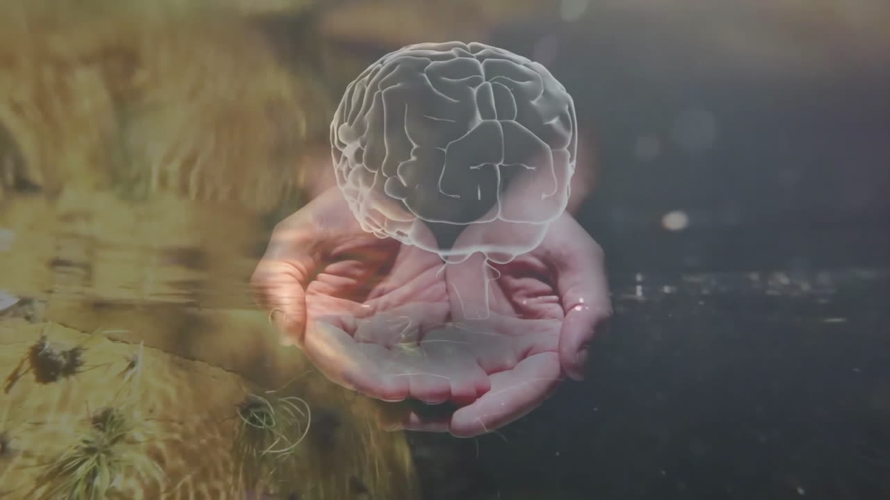 Cupped hands holding floating 3D wireframe brain above rippling water with aquatic plants
