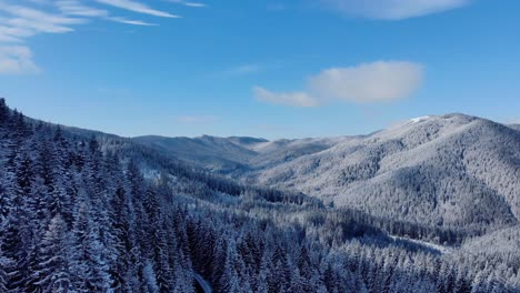 drone descends revealed snow covered trees on mountains