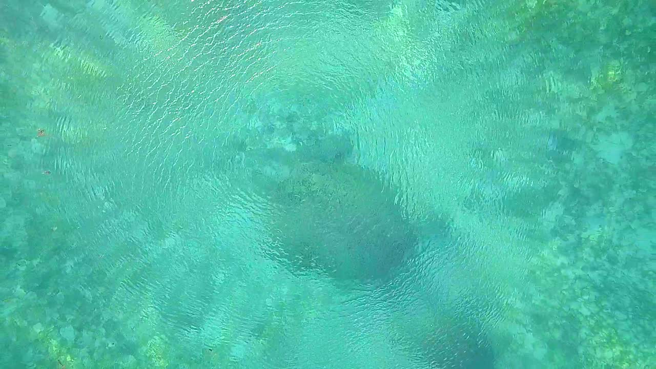말레이시아의 맑고 투명한 물과 거북이 위로 공중 비행, 꾸준한 새의 눈 관점은 느린 동작으로 파도와 함께 닫힙니다.