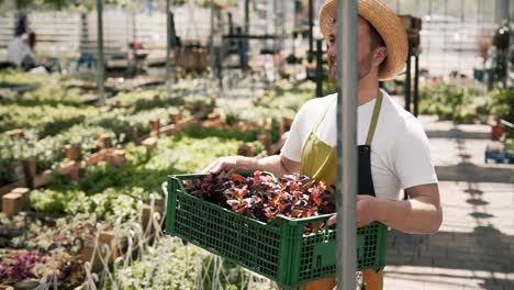 cute gardener man carries a box with plants on the background of the greenhouse