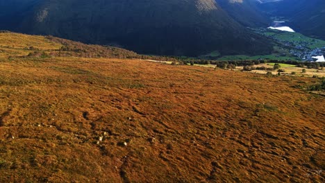 Aerial-over-the-valleys-and-fields-near-Syvde,-Vanylven-Municipality,-Norway