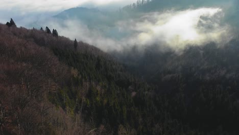 forest covered mountain valley with some fog