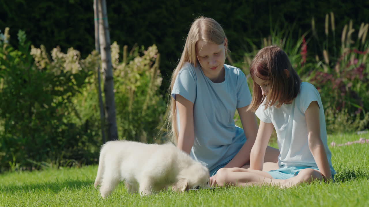 두 소녀가 초록 잔디에 강아지를 먹이고 있다. 집 뒷마당에 앉아 강아지는 그에서 먹는다.