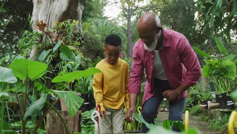 Happy-senior-african-american-man-with-his-grandson-looking-at-plants-in-garden